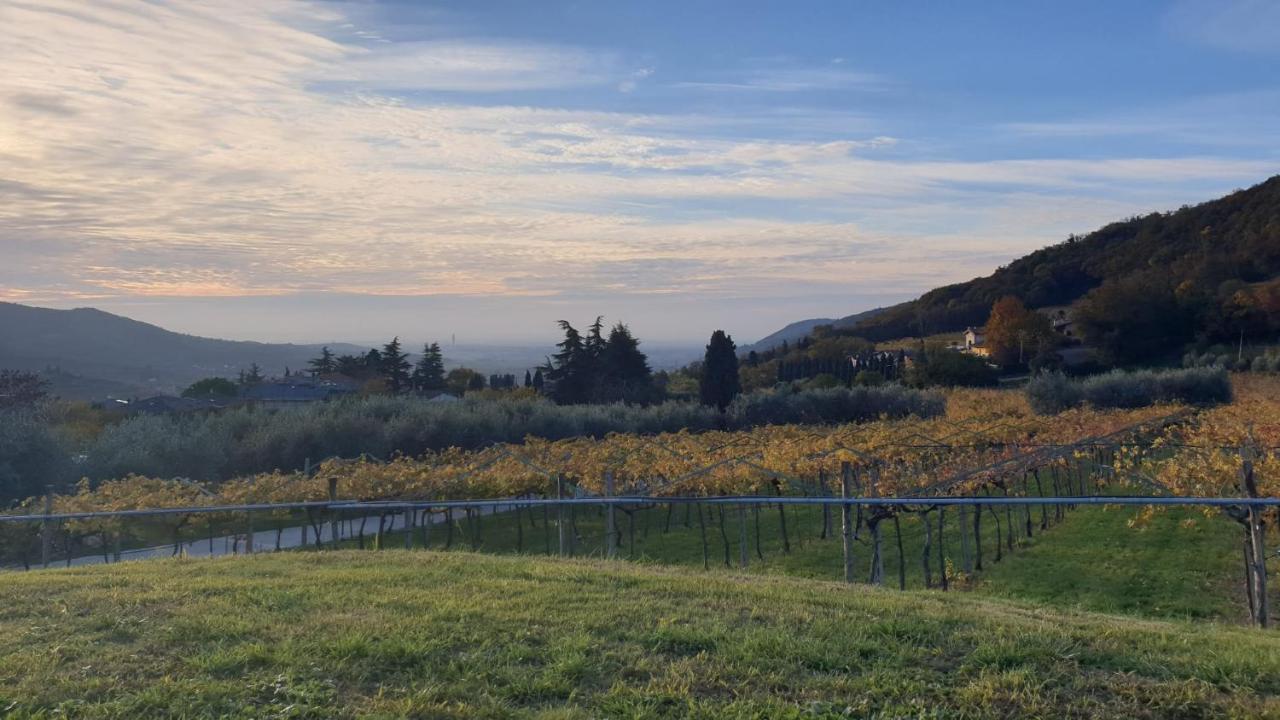 Suite La Torretta - Ca' Del Volo Grezzana Buitenkant foto